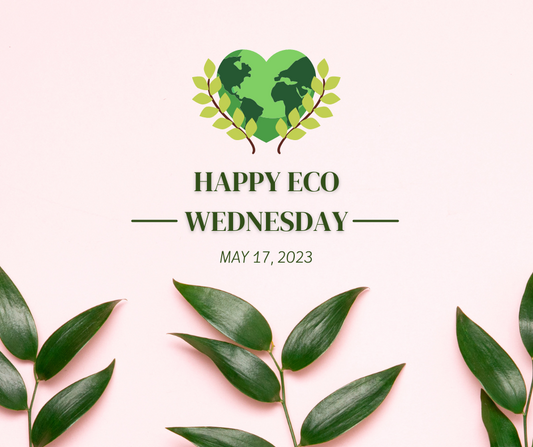 Eco Wednesday avec 30% de réduction...